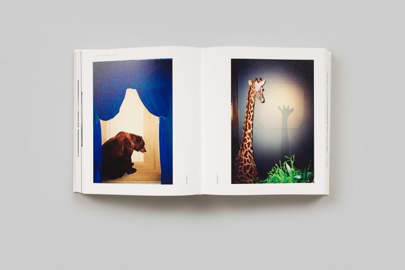 Jo ractliffe photographs 1980s now the walther collection art institute of chicago 006