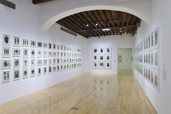 2017 10 Puebla Mexico Install View 01