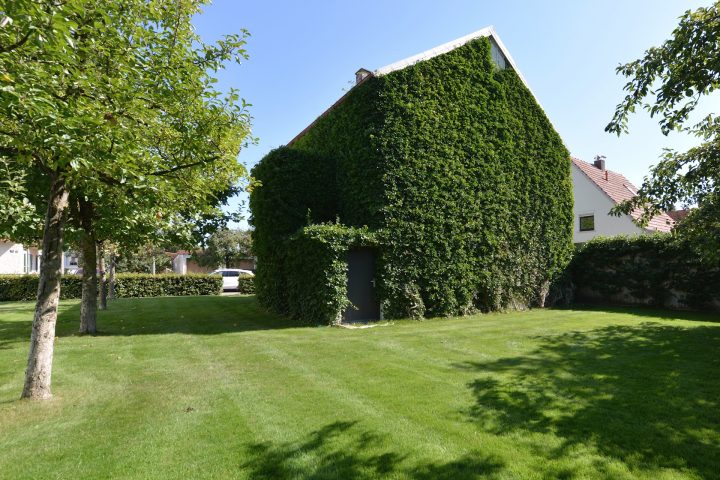 Walthercollection Architecture Greenhouse 04