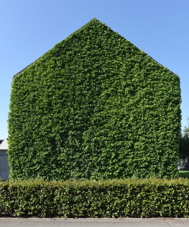 Walthercollection Architecture Greenhouse 06