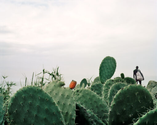 DP 4061 Petros Dawit Cap Spartel Strangers Notebook 2016