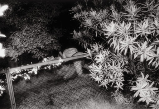 Kohei Yoshiyuki Untitled from the series The Park