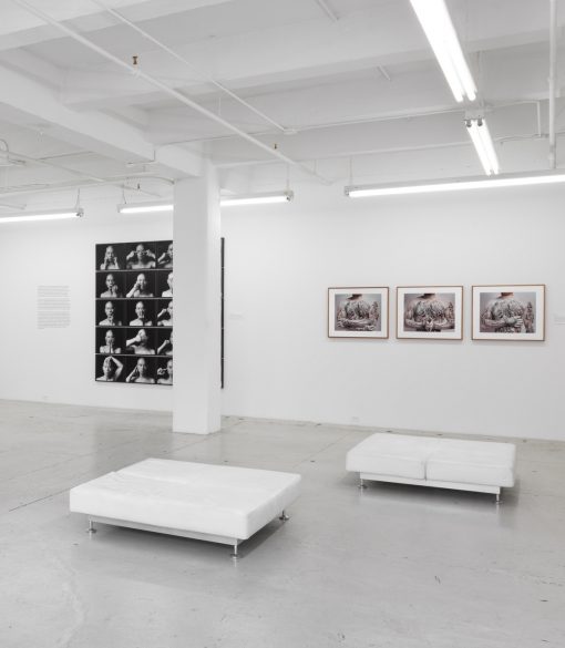 Walthercollection Architecture Projectspace Chelseanewyork 04