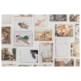 TWC Met Select Images 22