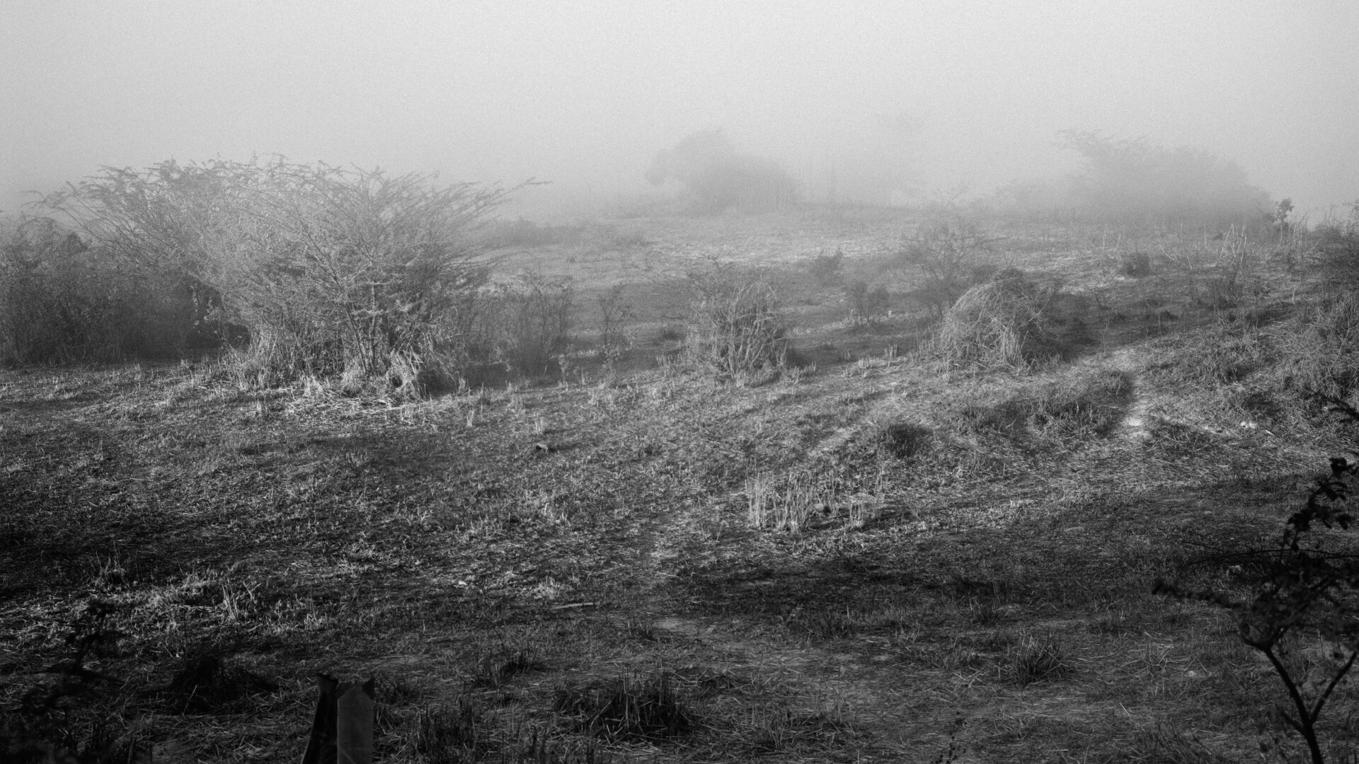 JR 1079 Ractliffe Jo Battlefield Near Caiundo On The Way To Savate 2009